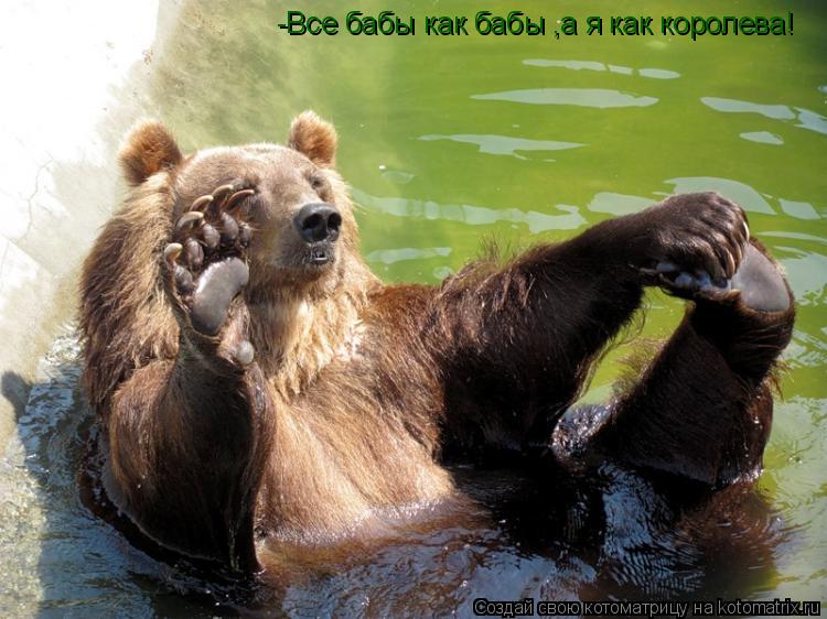 -Все бабы как бабы ,а я как королева!... Котоматрица: -Все бабы как бабы ,а я как королева!