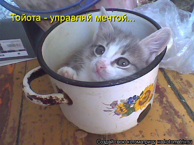 Тойота - управляй мечтой...... Котоматрица: Тойота - управляй мечтой...