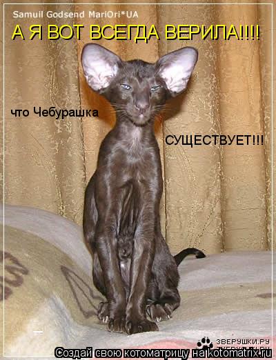 А Я ВОТ ВСЕГДА ВЕРИЛА!!!! что Чебурашка СУЩЕСТВУЕТ!!!... Котоматрица: А Я ВОТ ВСЕГДА ВЕРИЛА!!!! что Чебурашка СУЩЕСТВУЕТ!!!