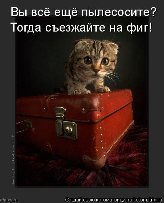 Вы всё ещё пылесосите? Тогда съезжайте на фиг!... Котоматрица: Вы всё ещё пылесосите? Тогда съезжайте на фиг!