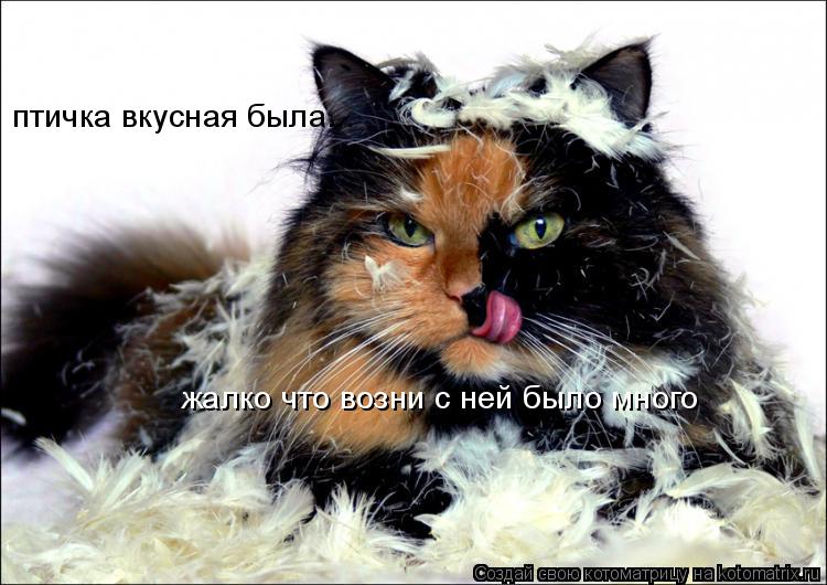 птичка вкусная была... жалко что возни с ней было много... Котоматрица: птичка вкусная была... жалко что возни с ней было много