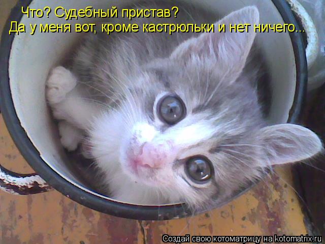 Что? Судебный пристав? Да у меня вот, кроме кастрюльки и нет ничего...... Котоматрица: Что? Судебный пристав? Да у меня вот, кроме кастрюльки и нет ничего...