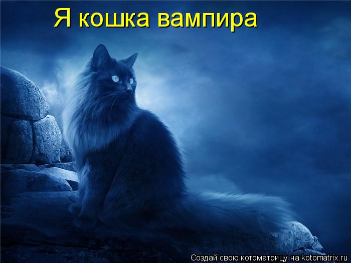 Я кошка вампира... Котоматрица: Я кошка вампира