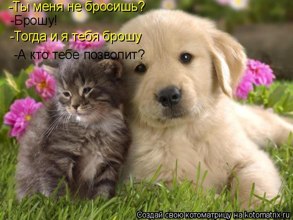 -Ты меня не бросишь? -Брошу! -Тогда и я тебя брошу -А кто тебе позволит?... Котоматрица: -Ты меня не бросишь? -Брошу! -Тогда и я тебя брошу -А кто тебе позволит?
