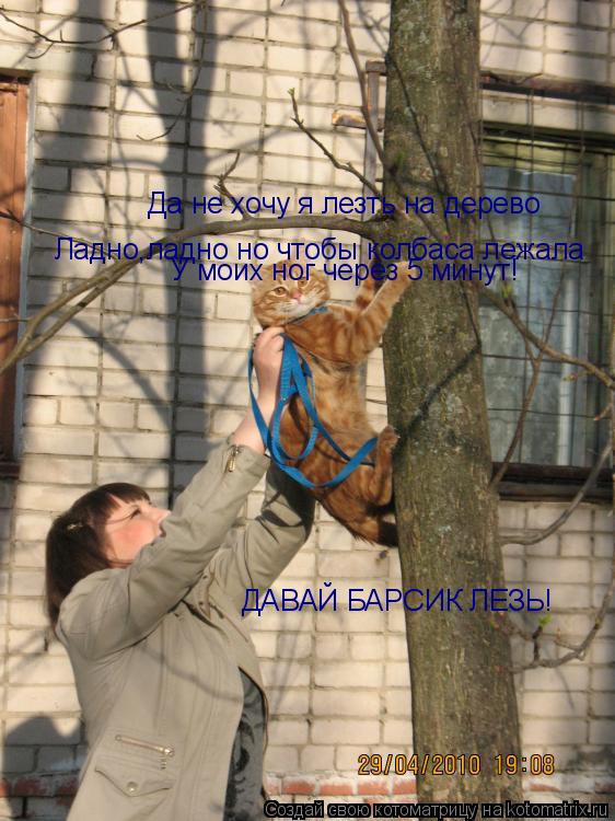 Да не хочу я лезть на дерево ДАВАЙ БАРСИК ЛЕЗЬ! Ладно,ладно но чтобы колбаса лежала У моих ног через ... Котоматрица: Да не хочу я лезть на дерево ДАВАЙ БАРСИК ЛЕЗЬ! Ладно,ладно но чтобы колбаса лежала У моих ног через 5 минут!