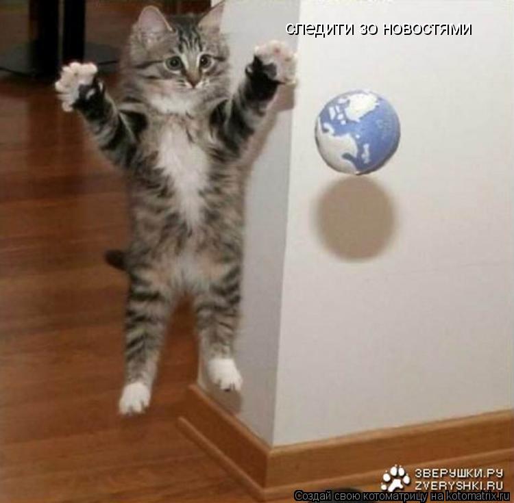 следити зо новостями... Котоматрица: следити зо новостями