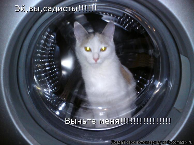 Эй,вы,садисты!!!!!! Выньте меня!!!!!!!!!!!!!!!!... Котоматрица: Эй,вы,садисты!!!!!! Выньте меня!!!!!!!!!!!!!!!!