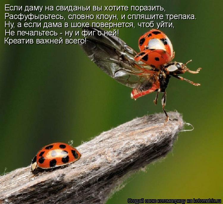 Если даму на свиданьи вы хотите поразить, Расфуфырьтесь, словно клоун, и спляшите трепака. Ну, а если... Котоматрица: Если даму на свиданьи вы хотите поразить, Расфуфырьтесь, словно клоун, и спляшите трепака. Ну, а если дама в шоке повернется, чтоб уйти, Не пе