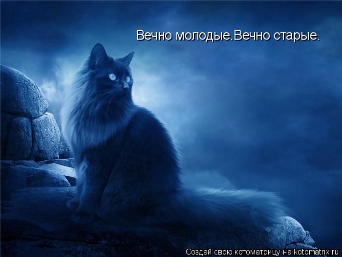 Вечно молодые.Вечно старые.... Котоматрица: Вечно молодые.Вечно старые.