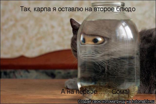 Так, карпа я оставлю на второе блюдо А на первое....... Сома!... Котоматрица: Так, карпа я оставлю на второе блюдо А на первое....... Сома!