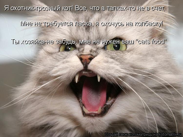 Я охотник-грозный кот! Все, что в тапках-то не в счет, Мне не требуется ласка, я охочусь на колбаску!... Котоматрица: Я охотник-грозный кот! Все, что в тапках-то не в счет, Мне не требуется ласка, я охочусь на колбаску! Ты хозяйка-не забудь, мне не нужен ваш "cats f