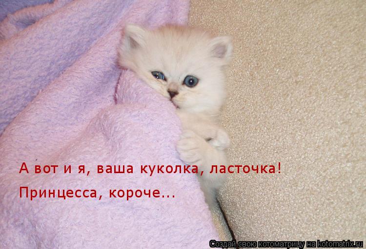 А вот и я, ваша куколка, ласточка! Принцесса, короче...... Котоматрица: А вот и я, ваша куколка, ласточка! Принцесса, короче...