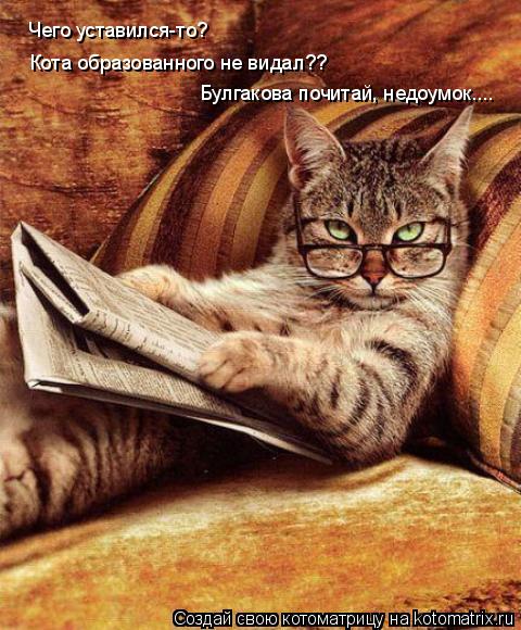 Чего уставился-то? Кота образованного не видал?? Булгакова почитай, недоумок....... Котоматрица: Чего уставился-то? Кота образованного не видал?? Булгакова почитай, недоумок....