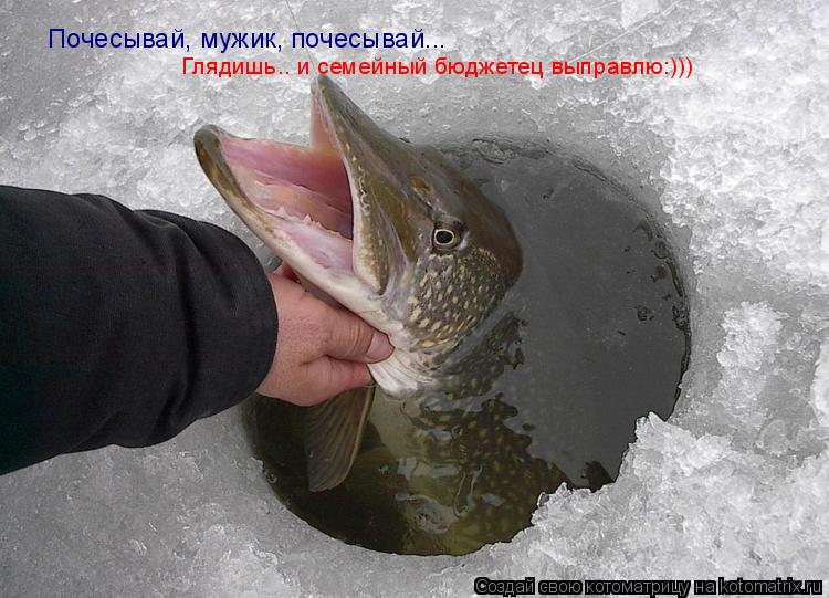 Котоматрица: Почесывай, мужик, почесывай...  Глядишь.. и семейный бюджетец выправлю:)))