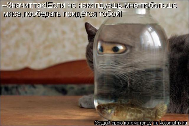 Котоматрица: --Значит,так!Если не наколдуешь мне побольше мяса,пообедать придётся тобой!