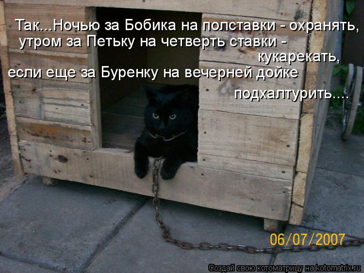 Так...Ночью за Бобика на полставки - охранять, утром за Петьку на четверть ставки - кукарекать, если... Котоматрица: Так...Ночью за Бобика на полставки - охранять, утром за Петьку на четверть ставки - кукарекать, если еще за Буренку на вечерней дойке подхалт