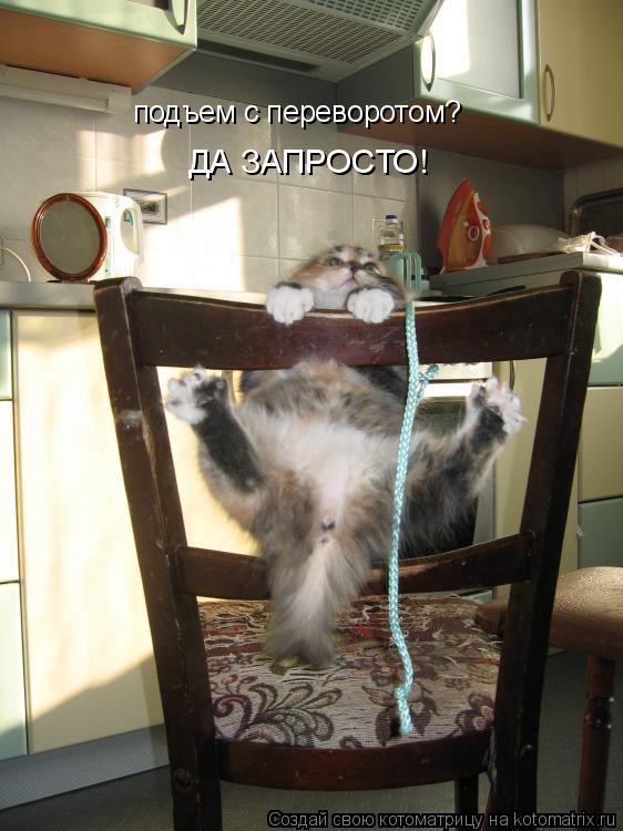 Котоматрица: подъем с переворотом? ДА ЗАПРОСТО!