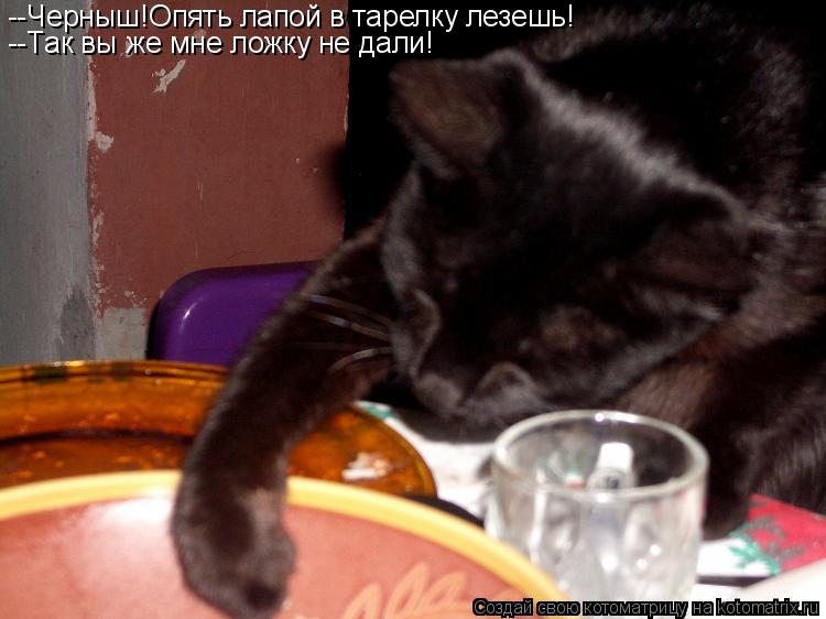 Котоматрица: --Черныш!Опять лапой в тарелку лезешь! --Так вы же мне ложку не дали!