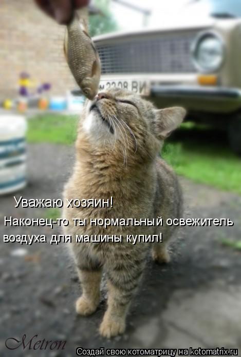 Уважаю хозяин! Наконец-то ты нормальный освежитель воздуха для машины купил!... Котоматрица: Уважаю хозяин! Наконец-то ты нормальный освежитель воздуха для машины купил!