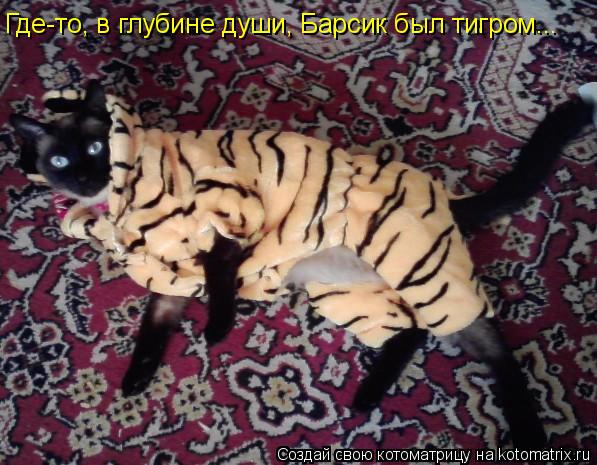 Котоматрица: Где-то, в глубине души, Барсик был тигром...
