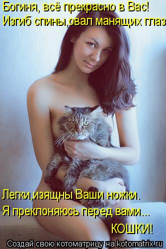 Котоматрица: Изгиб спины,овал манящих глаз... Я преклоняюсь перед вами... КОШКИ! Богиня, всё прекрасно в Вас! Легки,изящны Ваши ножки.