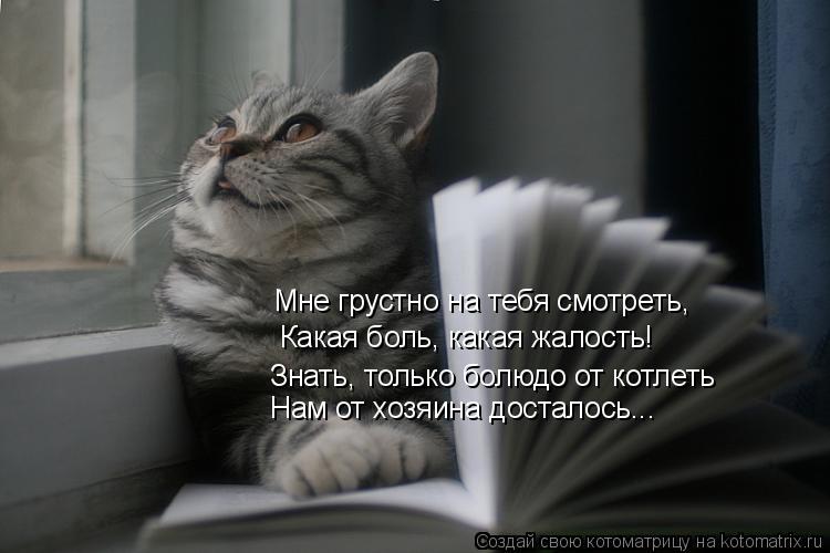 Мне грустно на тебя смотреть, Какая боль, какая жалость! Знать, только болюдо от котлеть Нам от хозя... Котоматрица: Мне грустно на тебя смотреть, Какая боль, какая жалость! Знать, только болюдо от котлеть Нам от хозяина досталось...