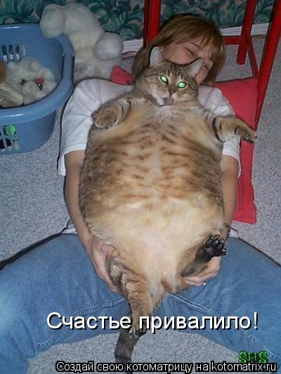 Счастье привалило!... Котоматрица: Счастье привалило!