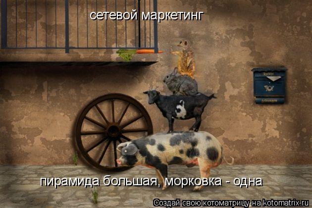 сетевой маркетинг пирамида большая, морковка - одна... Котоматрица: сетевой маркетинг пирамида большая, морковка - одна