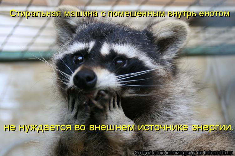 Стиральная машина с помещенным внутрь енотом не нуждается во внешнем источнике энергии.... Котоматрица: Стиральная машина с помещенным внутрь енотом не нуждается во внешнем источнике энергии.