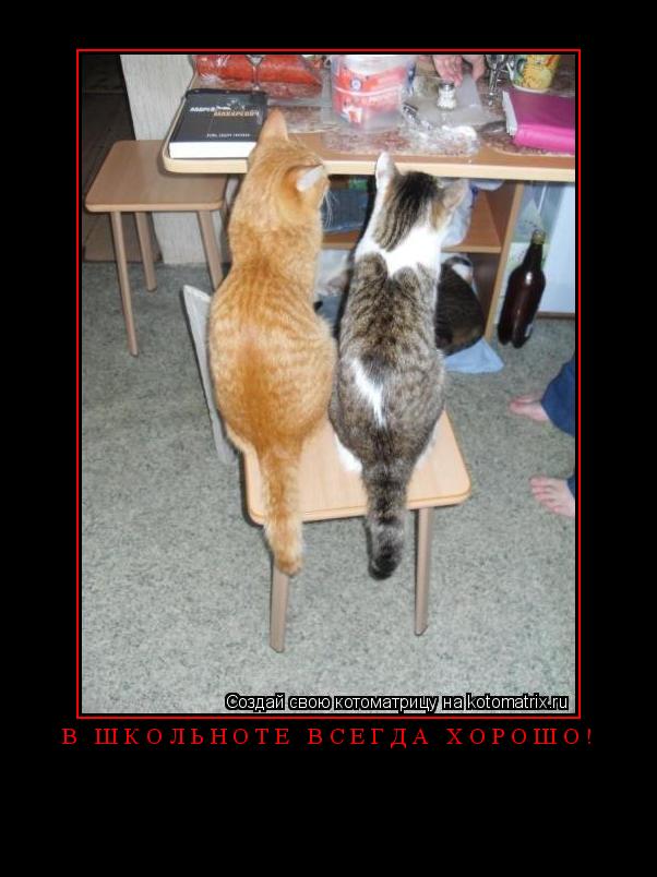 В Школьноте всегда хорошо! ... Котоматрица: В Школьноте всегда хорошо!