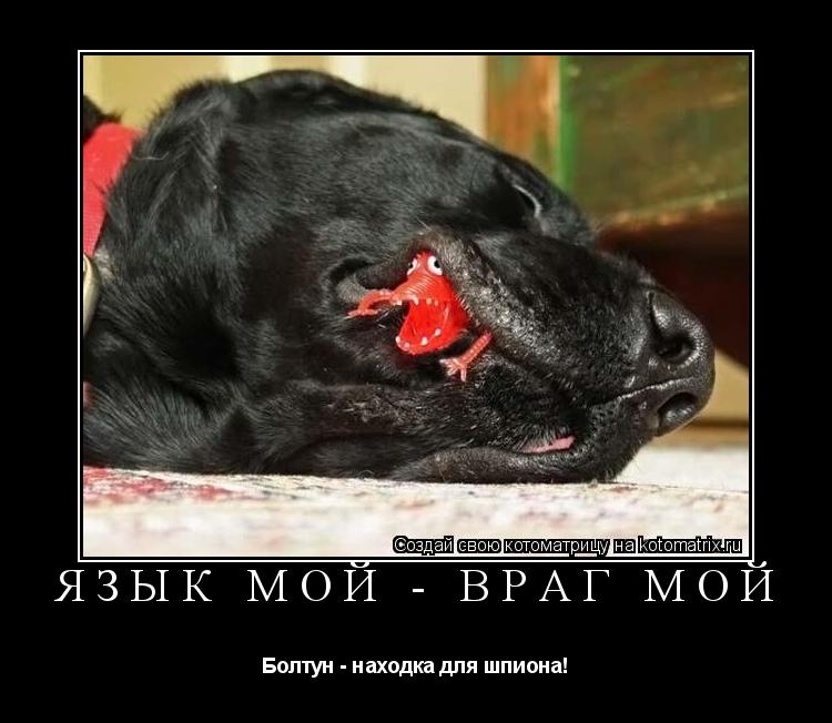 Котоматрица: Язык мой - враг мой Болтун - находка для шпиона!