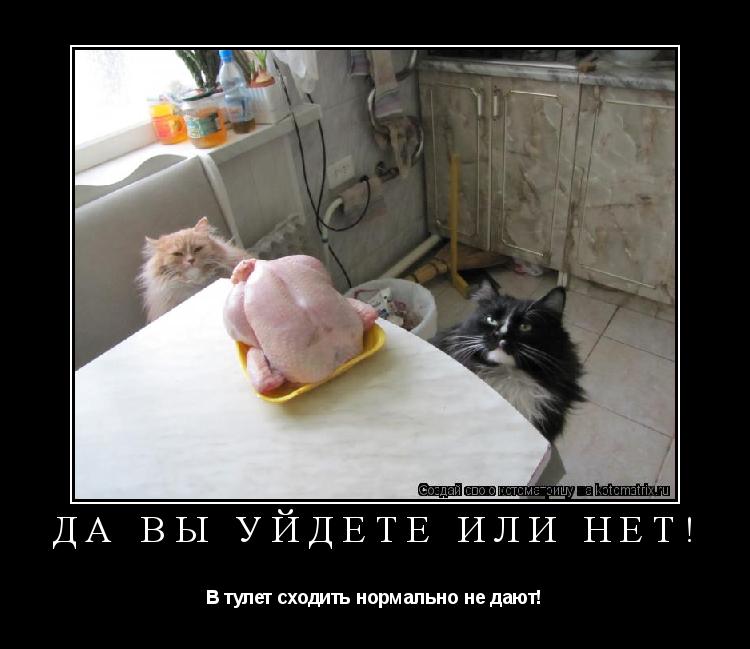Котоматрица: ДА ВЫ УЙДЁТЕ ИЛИ НЕТ! В тулет сходить нормально не дают!