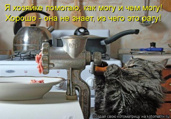 Я хозяйке помогаю, как могу и чем могу! Хорошо - она не знает, из чего это рагу!... Котоматрица: Я хозяйке помогаю, как могу и чем могу! Хорошо - она не знает, из чего это рагу!