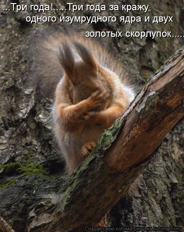 ...Три года!.....Три года за кражу одного изумрудного ядра и двух золотых скорлупок........ Котоматрица: ...Три года!.....Три года за кражу одного изумрудного ядра и двух золотых скорлупок.....