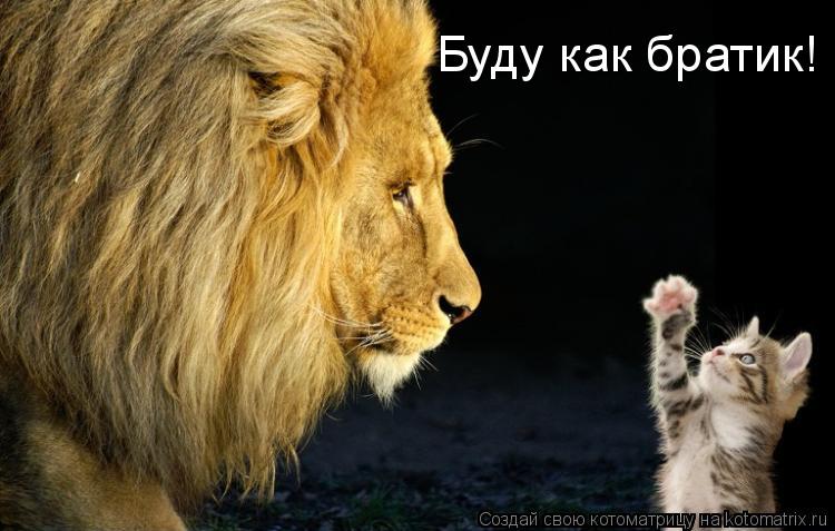 Буду как братик!... Котоматрица: Буду как братик!