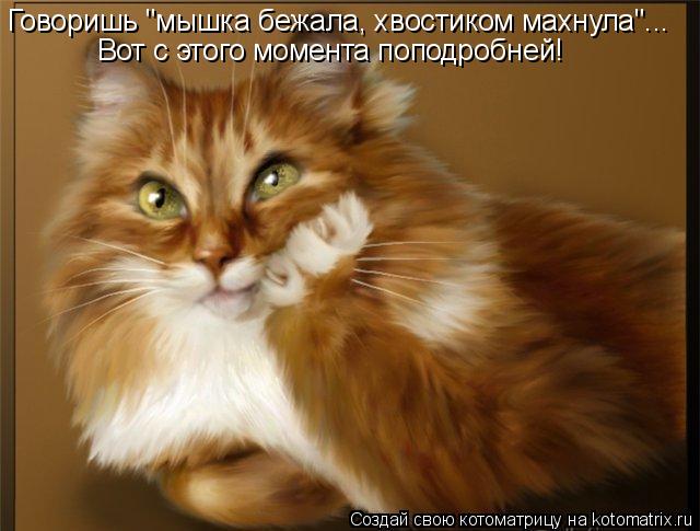Говоришь "мышка бежала, хвостиком махнула"... Вот с этого момента поподробней!... Котоматрица: Говоришь "мышка бежала, хвостиком махнула"... Вот с этого момента поподробней!