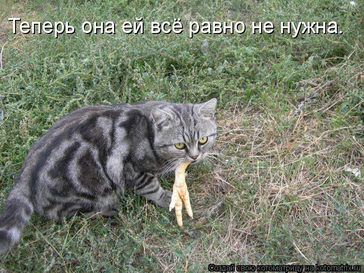 Теперь она ей всё равно не нужна.... Котоматрица: Теперь она ей всё равно не нужна.