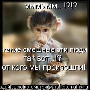 какие смешные эти люди мммммм...!?!? так вот...!? от кого мы произошли!... Котоматрица: какие смешные эти люди мммммм...!?!? так вот...!? от кого мы произошли!