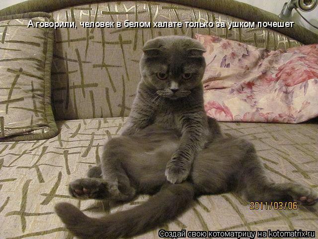 А говорили, человек в белом халате только за ушком почешет... Котоматрица: А говорили, человек в белом халате только за ушком почешет