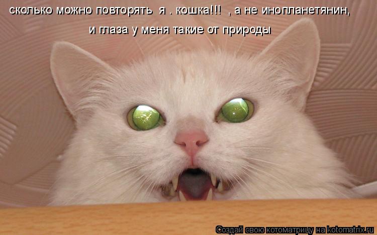 сколько можно повторять «я – кошка!!!» , а не инопланетянин, и глаза у меня такие от природы... Котоматрица: сколько можно повторять «я – кошка!!!» , а не инопланетянин, и глаза у меня такие от природы