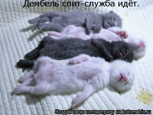 http://kotomatrix.ru/images/lolz/2011/03/30/869410.jpg