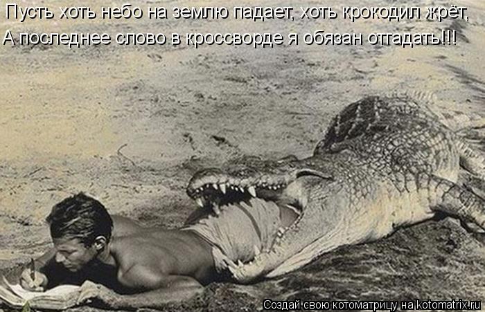 Пусть хоть небо на землю падает, хоть крокодил жрёт, А последнее слово в кроссворде я обязан отгадат... Котоматрица: Пусть хоть небо на землю падает, хоть крокодил жрёт, А последнее слово в кроссворде я обязан отгадать!!!