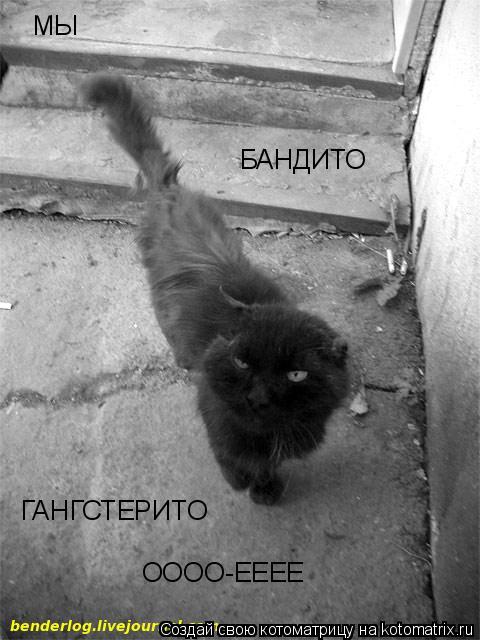 БАНДИТО ГАНГСТЕРИТО ОООО-ЕЕЕЕ МЫ... Котоматрица: БАНДИТО ГАНГСТЕРИТО ОООО-ЕЕЕЕ МЫ