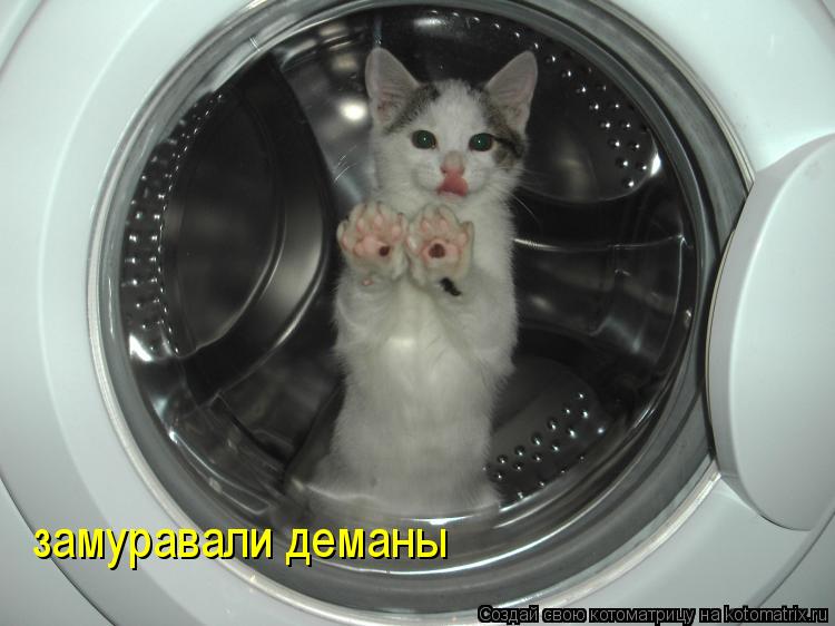 замуравали деманы... Котоматрица: замуравали деманы