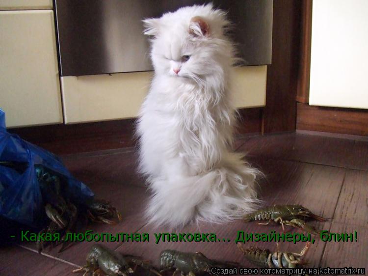 - Какая любопытная упаковка... Дизайнеры, блин!... Котоматрица: - Какая любопытная упаковка... Дизайнеры, блин!