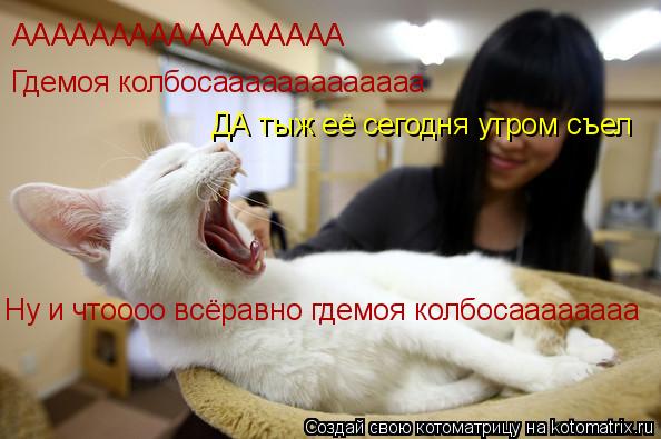 ААААААААААААААААА ААААААААААААААААА Гдемоя колбосааааааааааааа ДА тыж её сегодня утром съел Ну и чтоо... Котоматрица: ААААААААААААААААА ААААААААААААААААА Гдемоя колбосааааааааааааа ДА тыж её сегодня утром съел Ну и чтоооо всёравно гдемоя колбосаааааааа