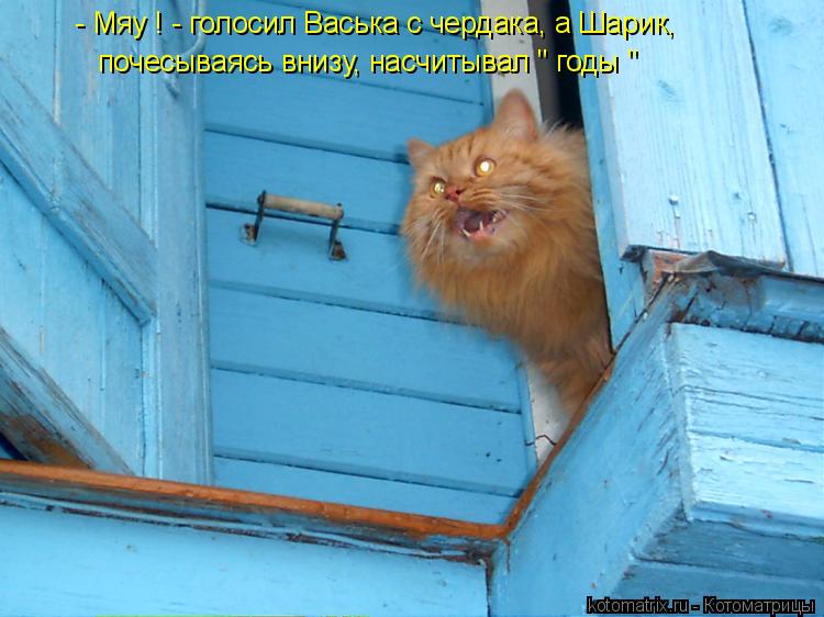 - Мяу ! - голосил Васька с чердака, а Шарик, почесываясь внизу, насчитывал " годы "... Котоматрица: - Мяу ! - голосил Васька с чердака, а Шарик, почесываясь внизу, насчитывал " годы "