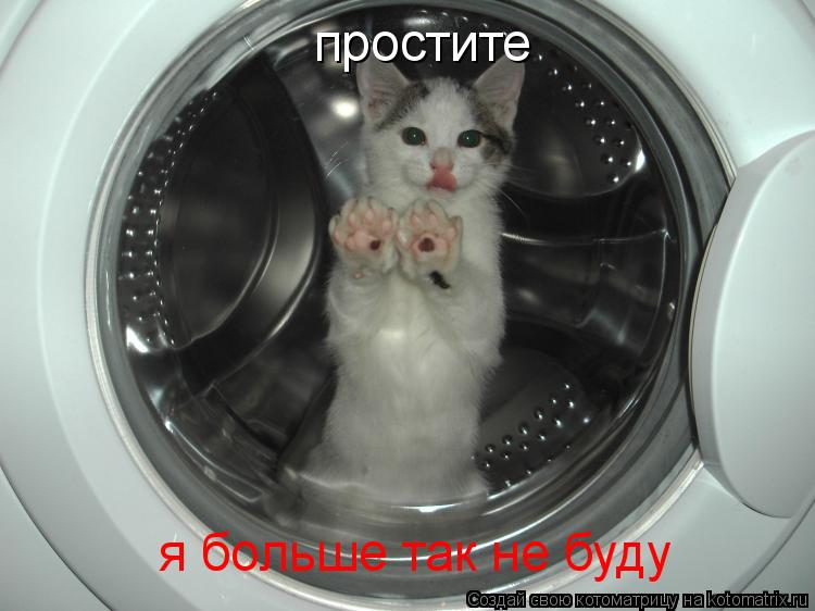 простите я больше так не буду... Котоматрица: простите я больше так не буду