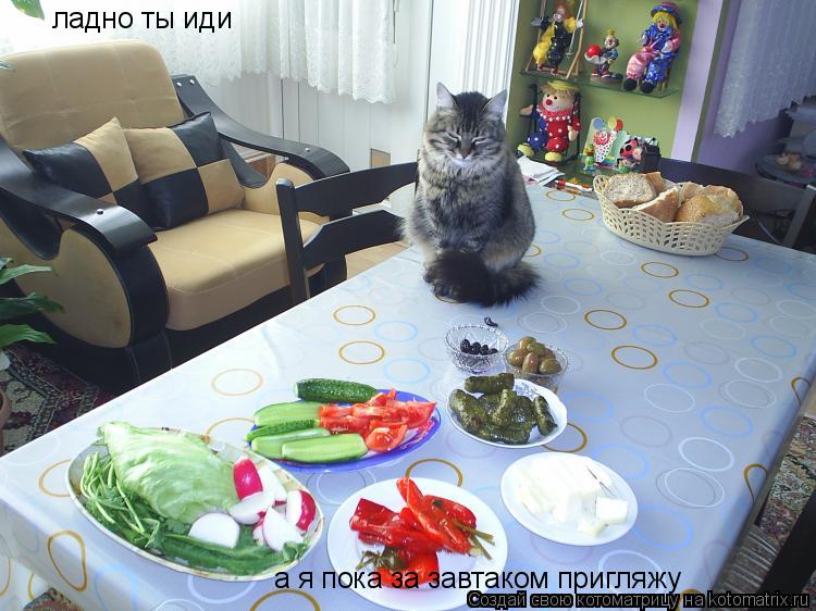 Котоматрица: ладно ты иди а я пока за завтаком пригляжу