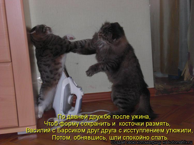 Василий с Барсиком друг друга с исступлением утюжили, Потом, обнявшись, шли спокойно спать. По давней... Котоматрица: Василий с Барсиком друг друга с исступлением утюжили, Потом, обнявшись, шли спокойно спать. По давней дружбе после ужина, Чтоб форму сохран